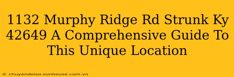 1132 Murphy Ridge Rd Strunk Ky 42649 A Comprehensive Guide To This Unique Location