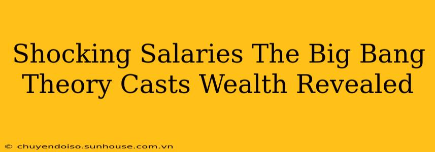 Shocking Salaries The Big Bang Theory Casts Wealth Revealed